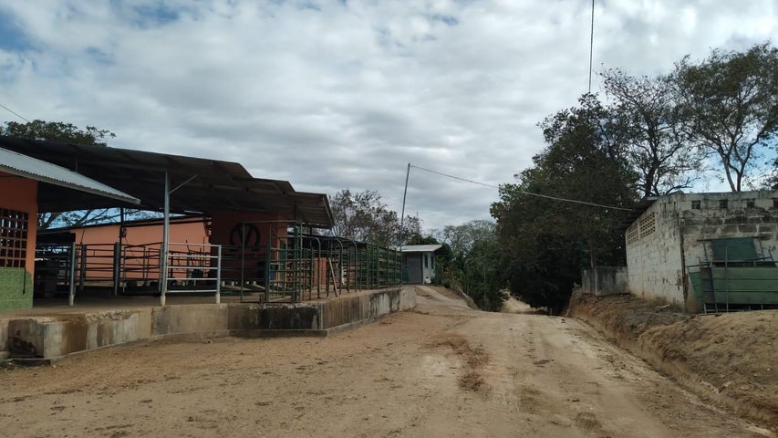 Commercial Property for Sale in Herrera 05001 Herrera 05001
